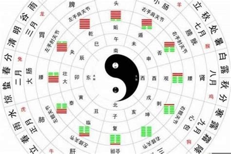 命主属性|生辰八字算命、五行喜用神查询（免费测算）